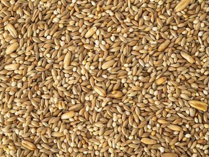 Topflite Budgie Seed Mix 10KG