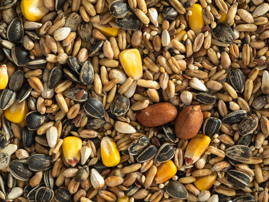 Topflite Parrot Mix 2kg