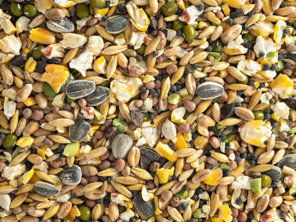 Topflite Soak & Sprout Seed Mix 20kg