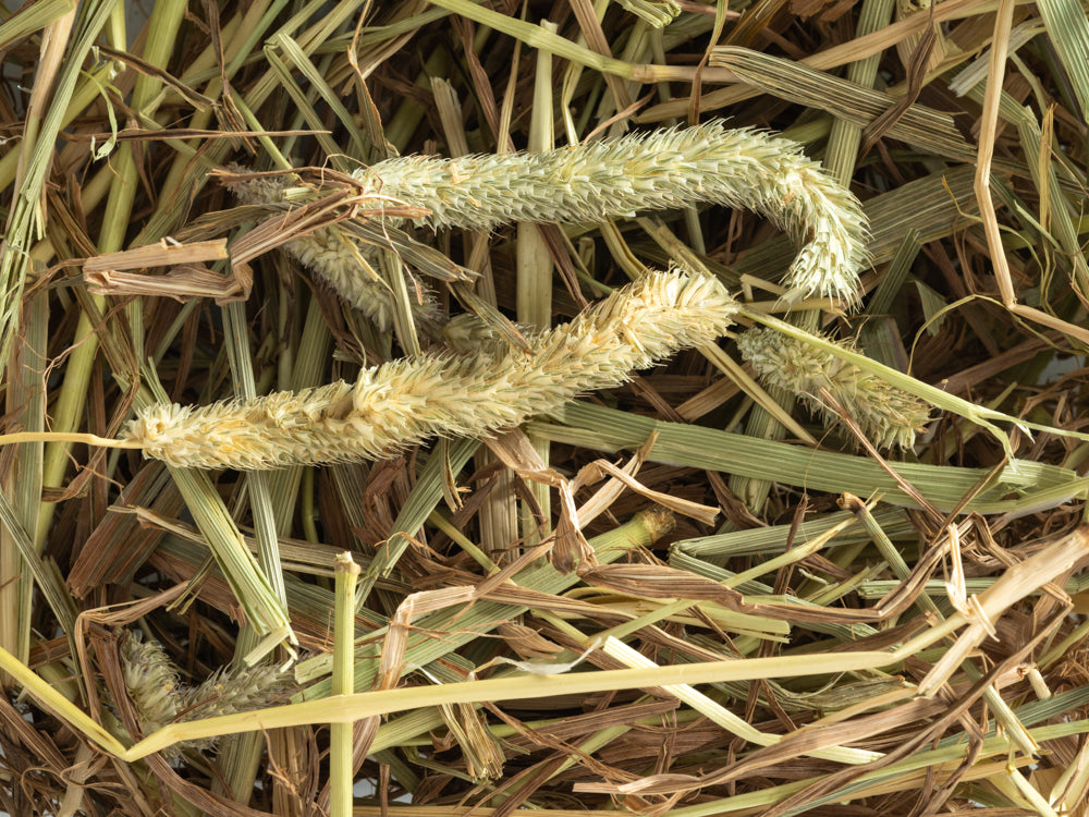 Topflite Timothy Hay 1.5KG