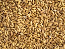 Hulled Oats 3kg